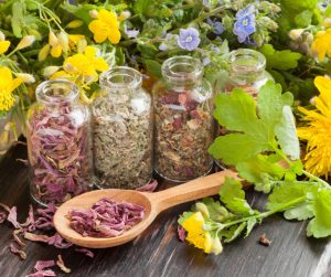 healing herbs in glass jars 