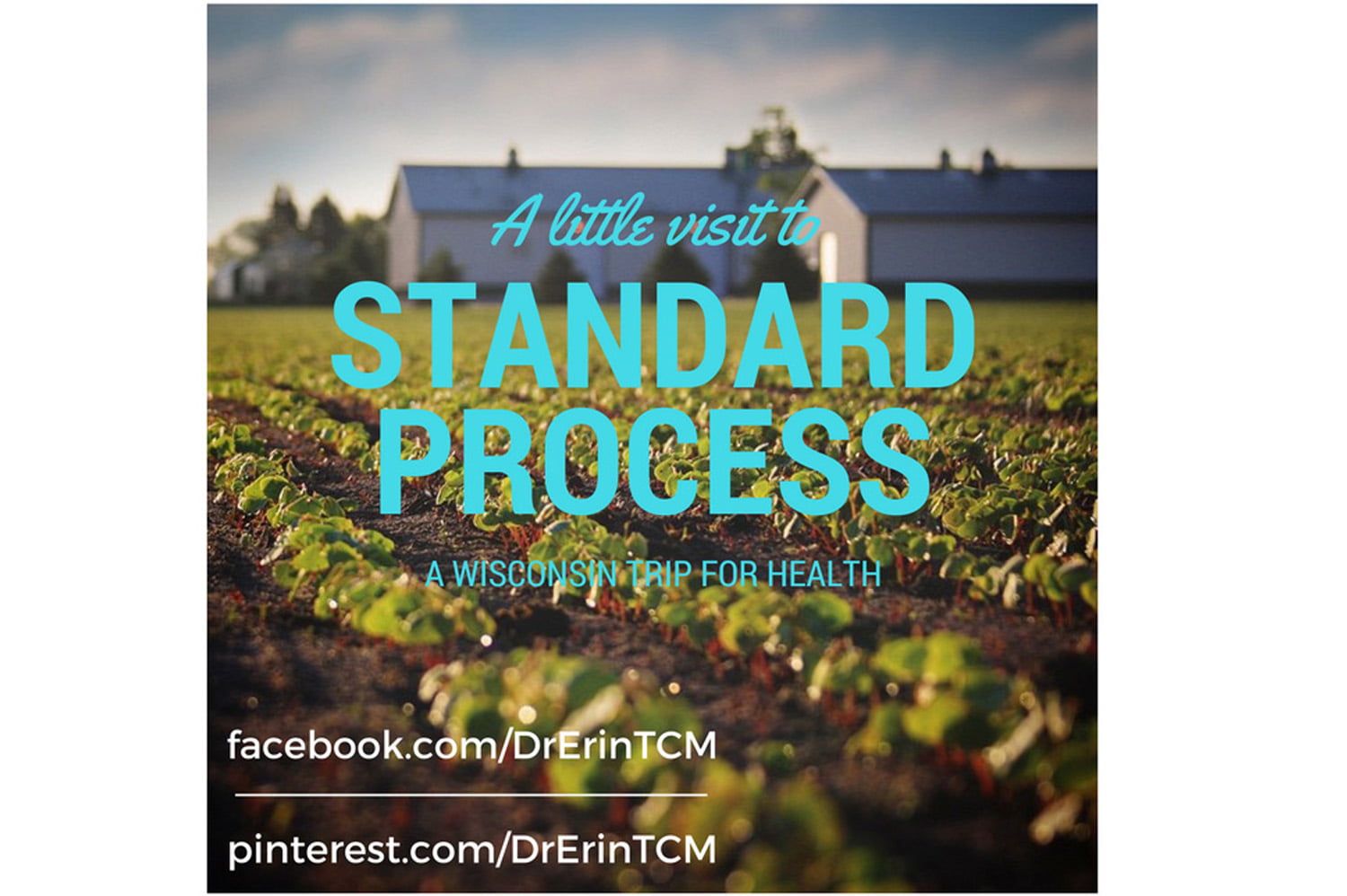 standard process featured image