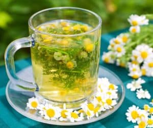 chamomile tea